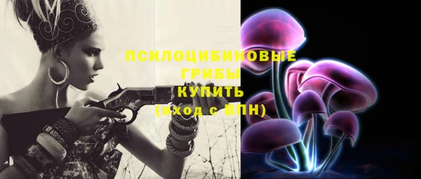 МДПВ Киренск