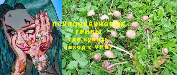 ГАЛЛЮЦИНОГЕННЫЕ ГРИБЫ Кинешма