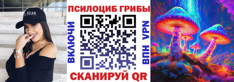Галлюциногенные грибы Psilocybe  Купить  Изобильный 